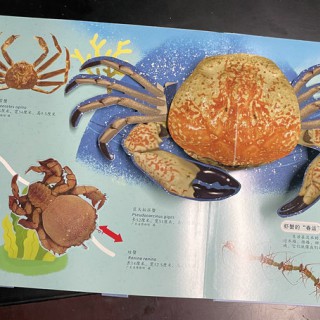 立體書印刷